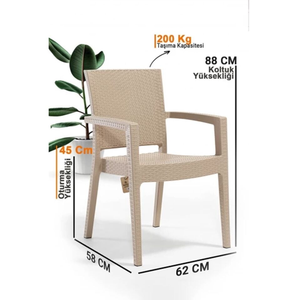 Rattan Sandalye 6 Adet Rattan Victor Kollu Sandalye Koltuk 6'lı Set A plus