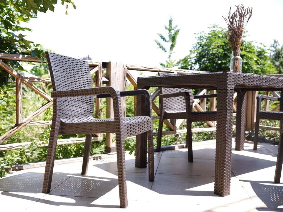 Rattan Sandalye 2 Adet Rattan Victor Kollu Sandalye Koltuk 2'li Set A plus