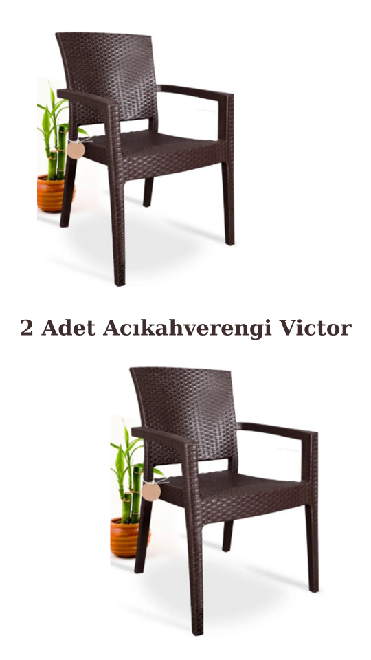 Rattan Sandalye 2 Adet Rattan Victor Kollu Sandalye Koltuk 2'li Set A plus
