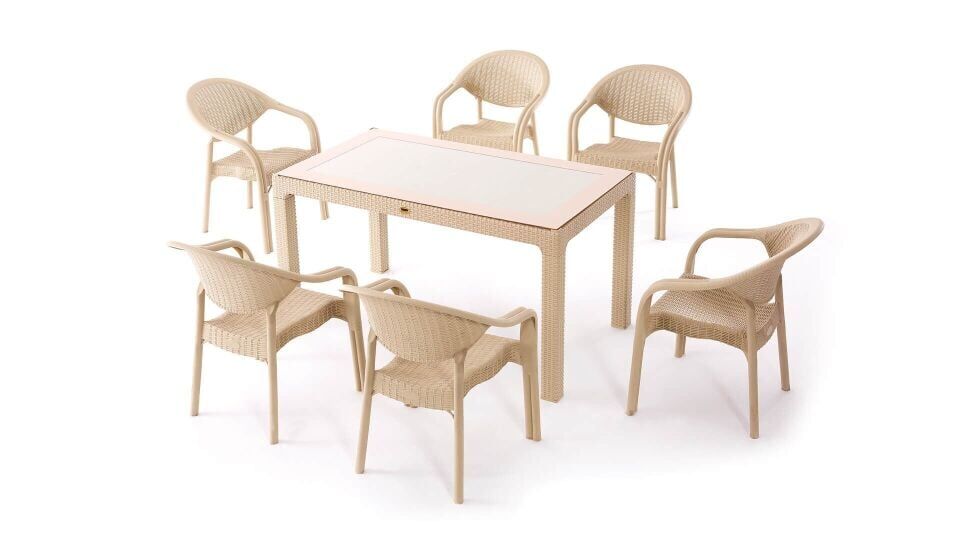 6 Kişilik Rattan Bahçe Balkon Teras Camlı Takım 90x150 Camlı Masa 6 Adet Bambu Pro Koltuk(Kopya)